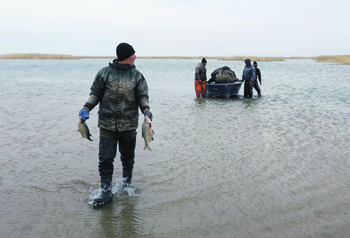 Аральское Море Фото До И После Высыхания