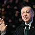 Эрдогана призывают выбрать сторону в украинском кризисе