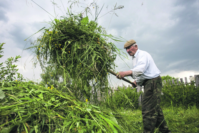Сельским пенсионерам власти готовы добавить по 1,5 тысячи рублей