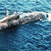 Основу парка подводных ударных атомных лодок ВМФ России составят старые субмарины