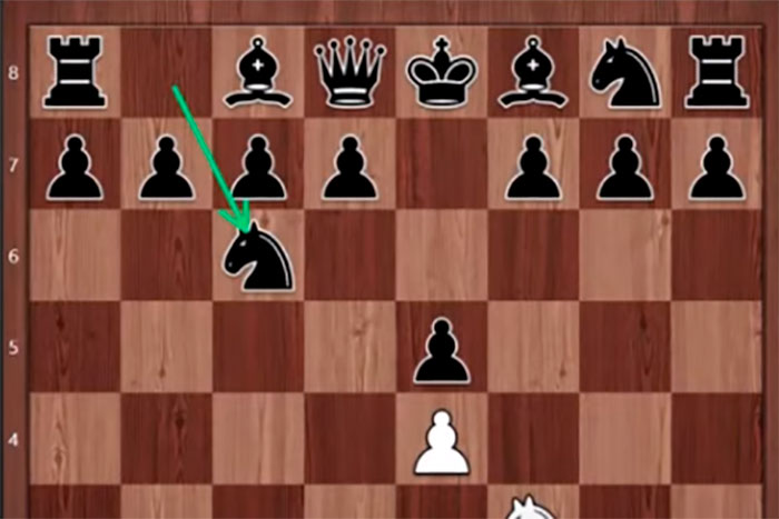 В интернете завершился суперфинал Magnus Carlsen chess tour 