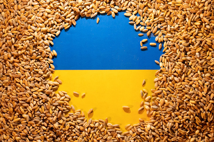 Еврокомиссия пошла навстречу Украине в зерновом транзите