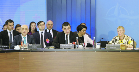 Тбилиси ждет новых рекомендаций для вступления в НАТО