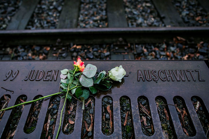 В РВИО случайно назвали освобождение Освенцима "преступлением Второй мировой войны"