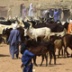 После выборов Мали надеется обрести мир