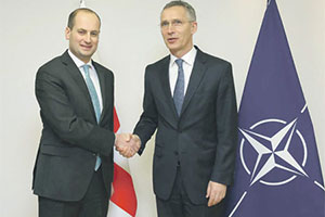 Джанелидзе обсудил с генсеком НАТО Столтенбергом вопросы евроатлантической интеграции Грузии