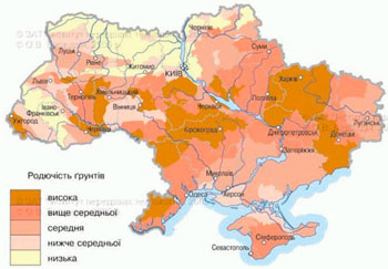 украина, донбасс, днр, война, конфликт, всу, басурин