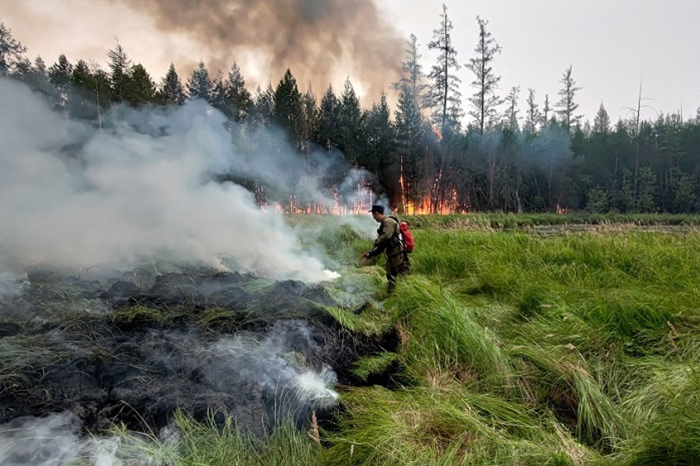 3. Лесные пожары установили незаметный рекорд