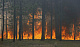 "Черный лес" охвачен огнем