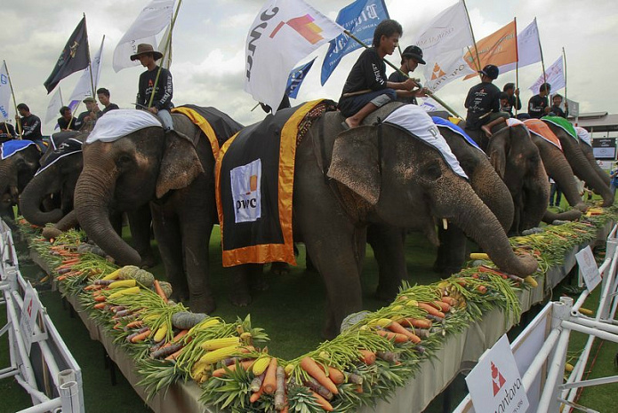 таиланд, поло, слоны