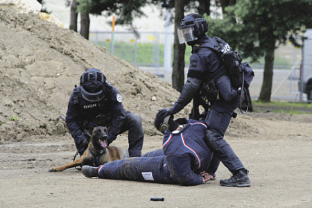Gign, французский спецназ, жандармерия, антитеррор, террорист, операция, освобождение, заложник