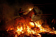В Испании коней очистили огнем
