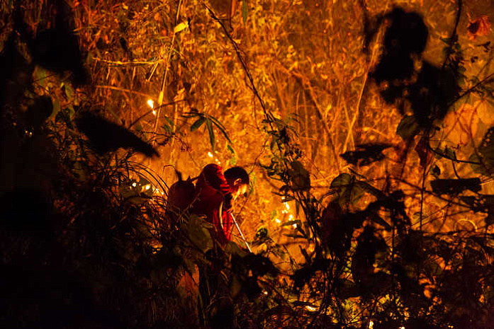 таиланд, лесные пожары