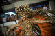 На улицах Рио гремит карнавал