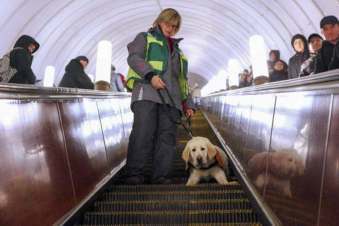 москва, метро, собаки