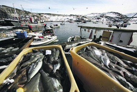 гренландия, сша, инвестиции, рыбные ресурсы, полезные ископаемые
