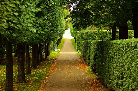 петербург, застройка, общественные слушания, зеленые зоны, парки