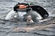 Владимир Путин погрузился в пучину Черного моря. В батискафе