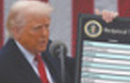 Куда заведут мир тарифы Трампа