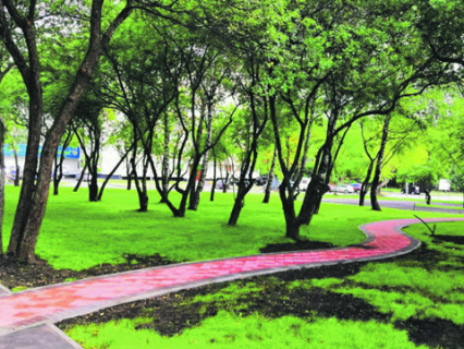 благоустройство, москва, мой район