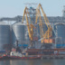 Зеленский поможет американцам освоить порт Одессы