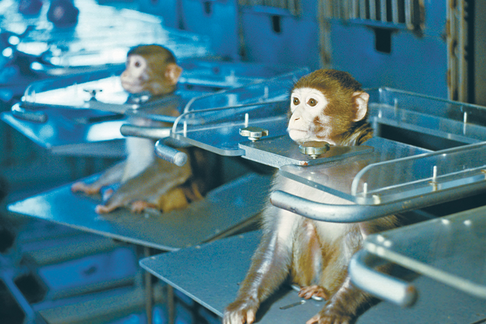 Новая жизнь «Бионов» под вопросом