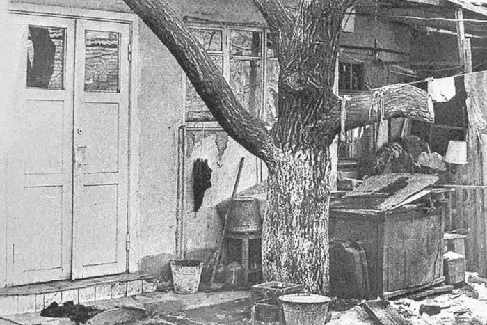 Создавать человека – увлекательно