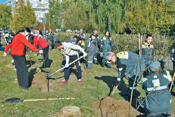Экологический приоритет: как высадить 46 миллионов деревьев за пять лет