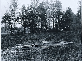 романовы, николай ii, монархия, революция, большевики, убийство, ипатьевский дом, екатеринбург, урал, ельцин, гелий рябов, кгб