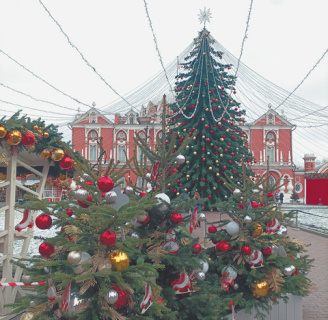 поэзия, новый год, дед мороз, елка