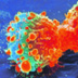 Обонятельный эпителий помогает в борьбе за усиление иммунитета