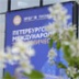 На ПМЭФ-2018 все хотят сделать красиво На ПМЭФ-2018 все хотят сделать красиво