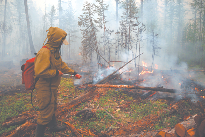 Волонтерство по науке