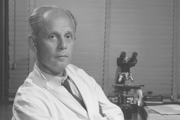 Фотон всепроникающий