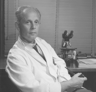 фотоны, физика, астрономия, биология, история науки