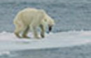 Глобальное потепление опасно для Арктики