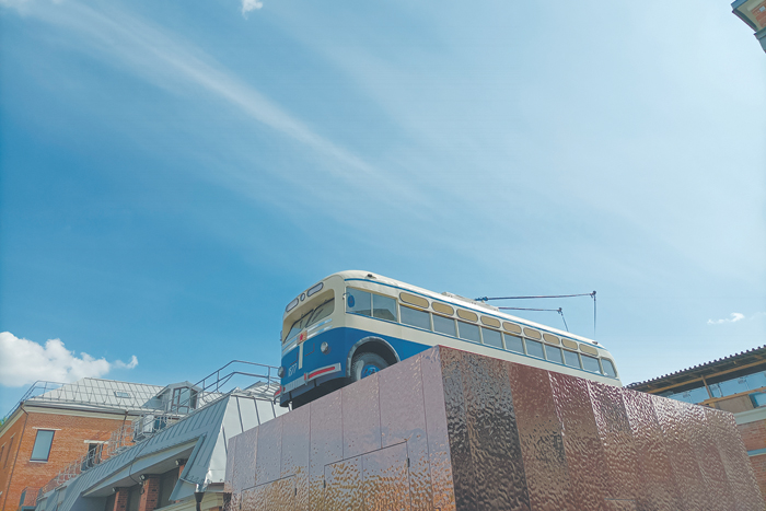 Заблудившись в лесу