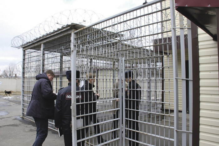 В миграционной концепции не нашлось места детям