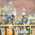 Нефть опять спасает российскую казну Нефть опять спасает российскую казну