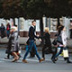 Пределы распада социума