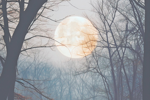 Культурная ценность суеверий