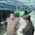 Станет ли Ким Чен Ын корейским Хрущевым
