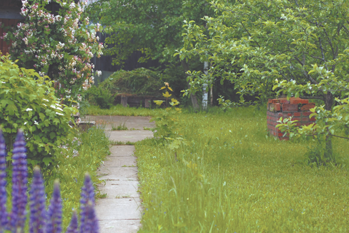 Подайте бокалы вина