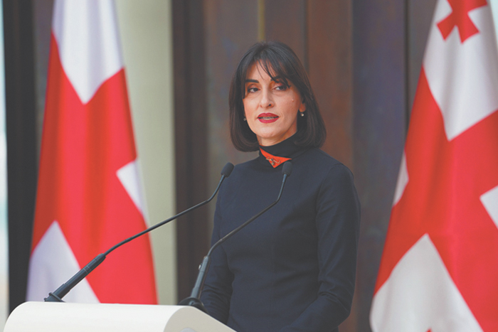 Тбилиси обвинил ЕС в попытке стереть Грузию с политической карты