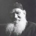 Блюдце с молоком для Льва Николаевича Блюдце с молоком для Льва Николаевича