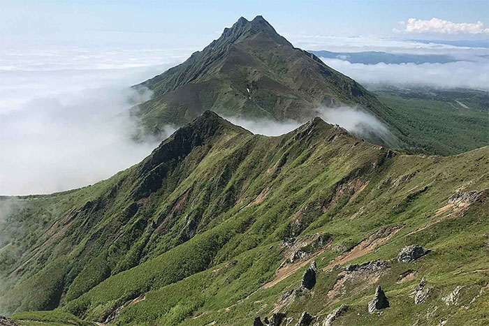 Углеродная нейтральность начинается с Сахалина 