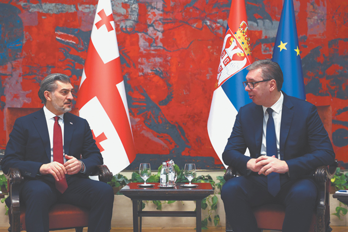 Грузия заглянула в европейскую "пропасть"