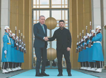 сво, укераинский конфликт, зеленский, визит в турцию, эрдоган, посредничество