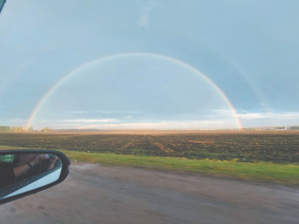 донская земля, степь, дон, ростовская область