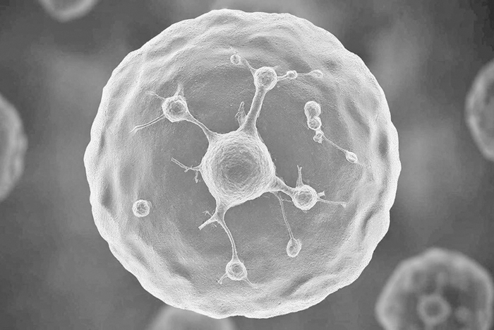 Как подготовиться к приему гостей из космоса